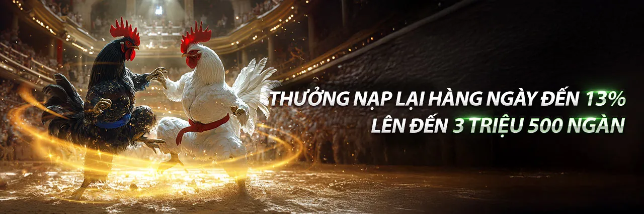 Đá Gà Trực Tiếp Thomo Hôm Nay